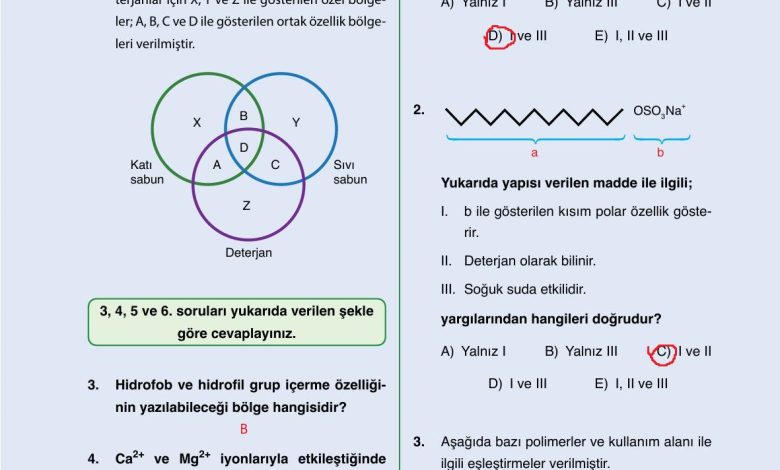 10. Sınıf Ata Yayıncılık Kimya Ders Kitabı Sayfa 198 Cevapları