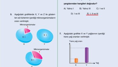 10. Sınıf Ata Yayıncılık Kimya Ders Kitabı Sayfa 199 Cevapları