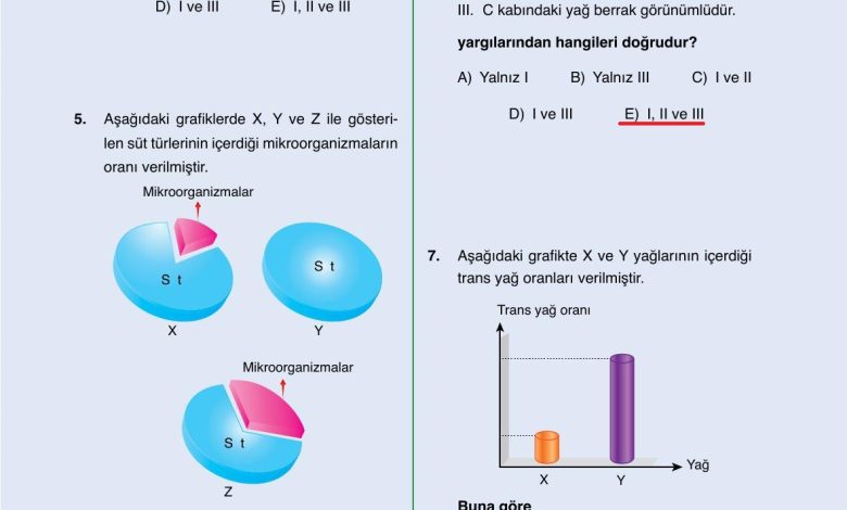 10. Sınıf Ata Yayıncılık Kimya Ders Kitabı Sayfa 199 Cevapları