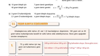 10. Sınıf Ata Yayıncılık Kimya Ders Kitabı Sayfa 21 Cevapları