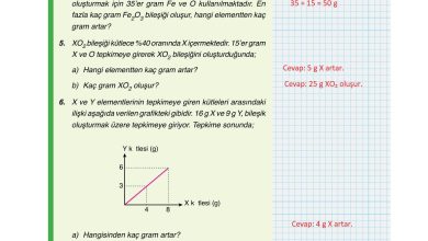 10. Sınıf Ata Yayıncılık Kimya Ders Kitabı Sayfa 22 Cevapları