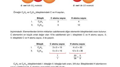 10. Sınıf Ata Yayıncılık Kimya Ders Kitabı Sayfa 25 Cevapları