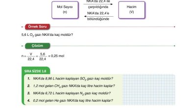 10. Sınıf Ata Yayıncılık Kimya Ders Kitabı Sayfa 38 Cevapları