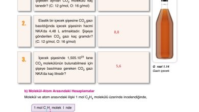 10. Sınıf Ata Yayıncılık Kimya Ders Kitabı Sayfa 39 Cevapları