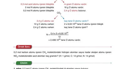 10. Sınıf Ata Yayıncılık Kimya Ders Kitabı Sayfa 42 Cevapları