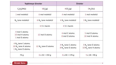 10. Sınıf Ata Yayıncılık Kimya Ders Kitabı Sayfa 49 Cevapları