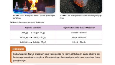 10. Sınıf Ata Yayıncılık Kimya Ders Kitabı Sayfa 55 Cevapları