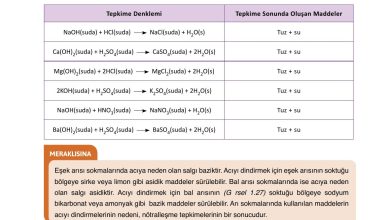 10. Sınıf Ata Yayıncılık Kimya Ders Kitabı Sayfa 56 Cevapları