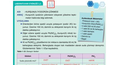 10. Sınıf Ata Yayıncılık Kimya Ders Kitabı Sayfa 58 Cevapları