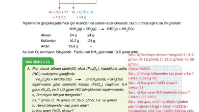 10. Sınıf Ata Yayıncılık Kimya Ders Kitabı Sayfa 66 Cevapları