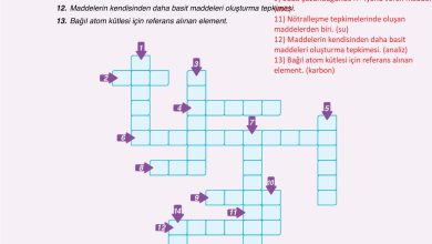 10. Sınıf Ata Yayıncılık Kimya Ders Kitabı Sayfa 75 Cevapları