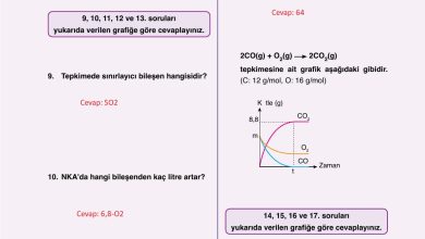 10. Sınıf Ata Yayıncılık Kimya Ders Kitabı Sayfa 80 Cevapları