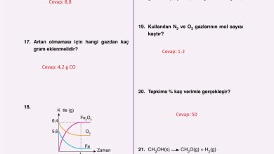 10. Sınıf Ata Yayıncılık Kimya Ders Kitabı Sayfa 81 Cevapları