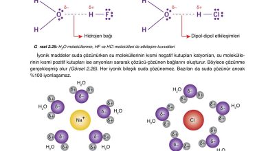 10. Sınıf Ata Yayıncılık Kimya Ders Kitabı Sayfa 98 Cevapları