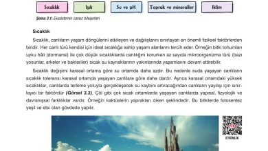 10. Sınıf Dörtel Yayıncılık Biyoloji Ders Kitabı Sayfa 103 Cevapları