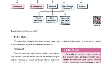 10. Sınıf Dörtel Yayıncılık Biyoloji Ders Kitabı Sayfa 111 Cevapları