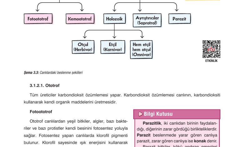 10. Sınıf Dörtel Yayıncılık Biyoloji Ders Kitabı Sayfa 111 Cevapları