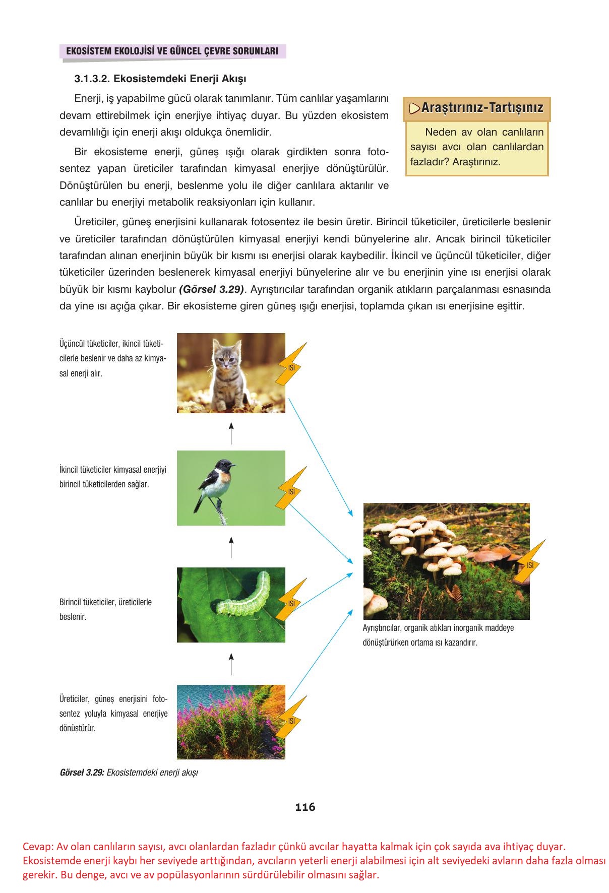 10. Sınıf Dörtel Yayıncılık Biyoloji Ders Kitabı Sayfa 116 Cevapları