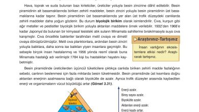 10. Sınıf Dörtel Yayıncılık Biyoloji Ders Kitabı Sayfa 117 Cevapları