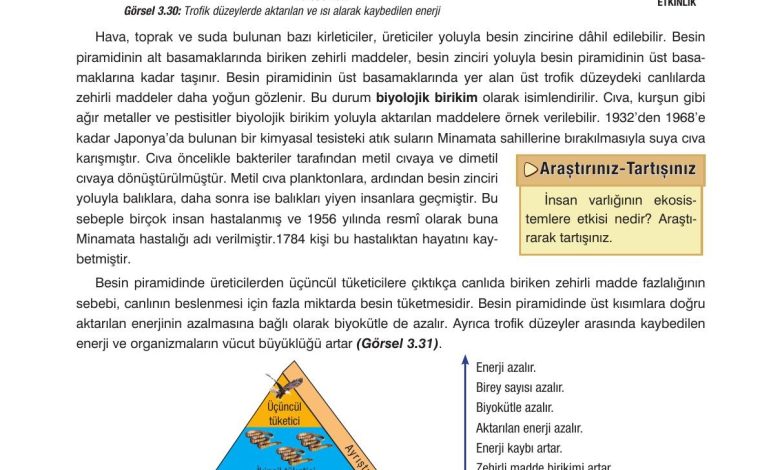 10. Sınıf Dörtel Yayıncılık Biyoloji Ders Kitabı Sayfa 117 Cevapları