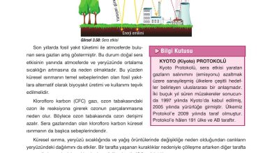 10. Sınıf Dörtel Yayıncılık Biyoloji Ders Kitabı Sayfa 135 Cevapları