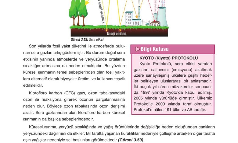 10. Sınıf Dörtel Yayıncılık Biyoloji Ders Kitabı Sayfa 135 Cevapları