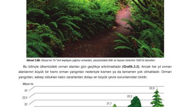 10. Sınıf Dörtel Yayıncılık Biyoloji Ders Kitabı Sayfa 142 Cevapları