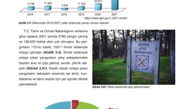 10. Sınıf Dörtel Yayıncılık Biyoloji Ders Kitabı Sayfa 143 Cevapları