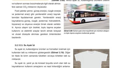 10. Sınıf Dörtel Yayıncılık Biyoloji Ders Kitabı Sayfa 145 Cevapları