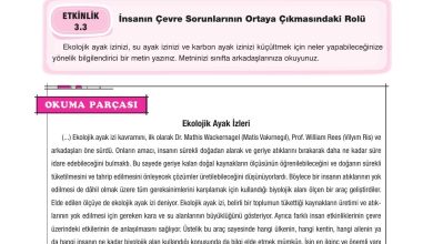 10. Sınıf Dörtel Yayıncılık Biyoloji Ders Kitabı Sayfa 146 Cevapları