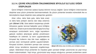 10. Sınıf Dörtel Yayıncılık Biyoloji Ders Kitabı Sayfa 150 Cevapları