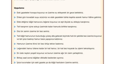 10. Sınıf Dörtel Yayıncılık Biyoloji Ders Kitabı Sayfa 154 Cevapları