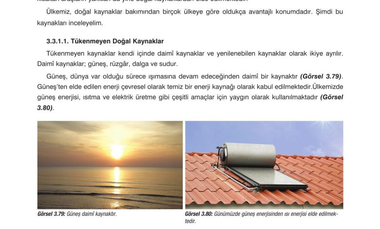 10. Sınıf Dörtel Yayıncılık Biyoloji Ders Kitabı Sayfa 158 Cevapları