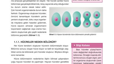 10. Sınıf Dörtel Yayıncılık Biyoloji Ders Kitabı Sayfa 16 Cevapları