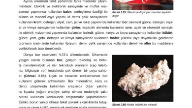 10. Sınıf Dörtel Yayıncılık Biyoloji Ders Kitabı Sayfa 160 Cevapları