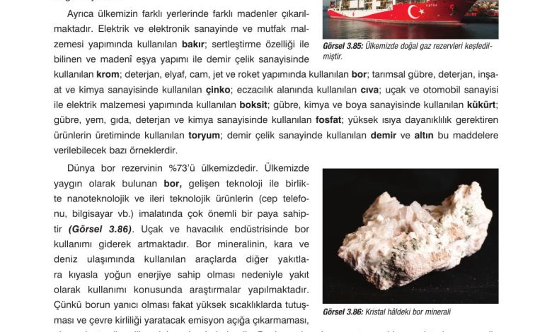 10. Sınıf Dörtel Yayıncılık Biyoloji Ders Kitabı Sayfa 160 Cevapları