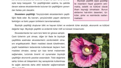 10. Sınıf Dörtel Yayıncılık Biyoloji Ders Kitabı Sayfa 164 Cevapları