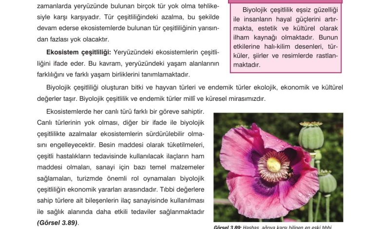 10. Sınıf Dörtel Yayıncılık Biyoloji Ders Kitabı Sayfa 164 Cevapları