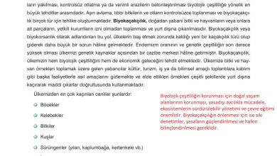 10. Sınıf Dörtel Yayıncılık Biyoloji Ders Kitabı Sayfa 169 Cevapları