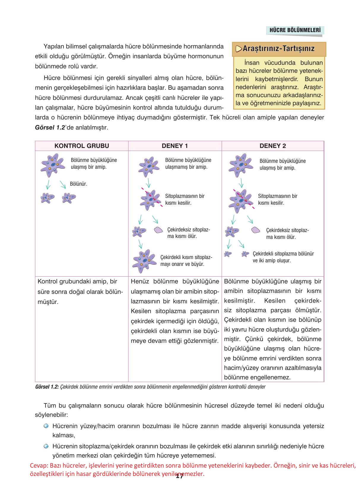 10. Sınıf Dörtel Yayıncılık Biyoloji Ders Kitabı Sayfa 17 Cevapları