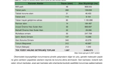 10. Sınıf Dörtel Yayıncılık Biyoloji Ders Kitabı Sayfa 170 Cevapları