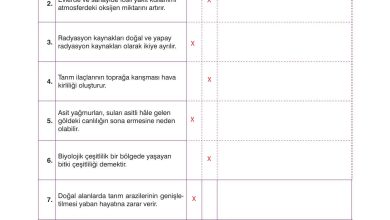 10. Sınıf Dörtel Yayıncılık Biyoloji Ders Kitabı Sayfa 175 Cevapları