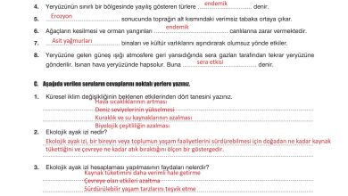 10. Sınıf Dörtel Yayıncılık Biyoloji Ders Kitabı Sayfa 176 Cevapları