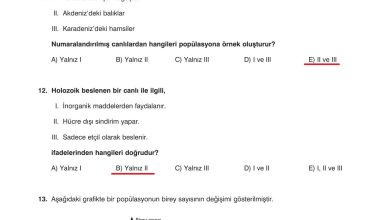 10. Sınıf Dörtel Yayıncılık Biyoloji Ders Kitabı Sayfa 179 Cevapları