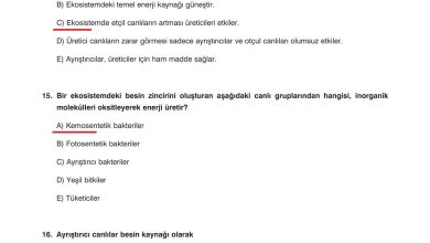 10. Sınıf Dörtel Yayıncılık Biyoloji Ders Kitabı Sayfa 180 Cevapları