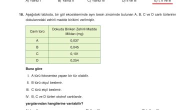 10. Sınıf Dörtel Yayıncılık Biyoloji Ders Kitabı Sayfa 181 Cevapları