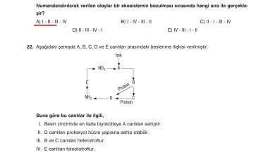 10. Sınıf Dörtel Yayıncılık Biyoloji Ders Kitabı Sayfa 182 Cevapları