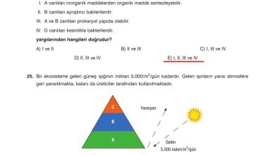 10. Sınıf Dörtel Yayıncılık Biyoloji Ders Kitabı Sayfa 183 Cevapları