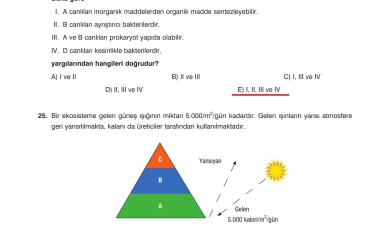 10. Sınıf Dörtel Yayıncılık Biyoloji Ders Kitabı Sayfa 183 Cevapları