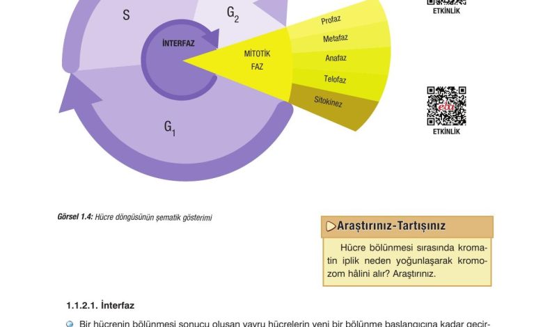 10. Sınıf Dörtel Yayıncılık Biyoloji Ders Kitabı Sayfa 19 Cevapları